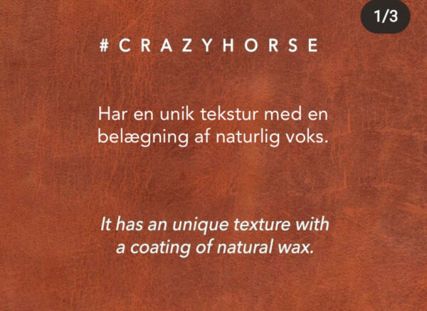 Crazy Horse3 - Crazy Læder IPad Pung Cover